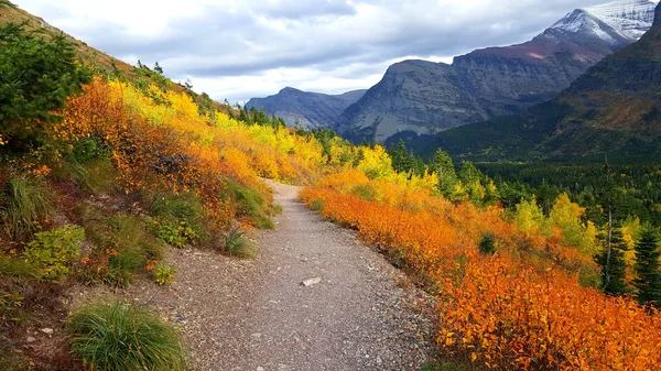 Sláva Podzimních Barev Podél Stezky Oblasti Mnoha Ledovcích Národním Parku — Stock fotografie