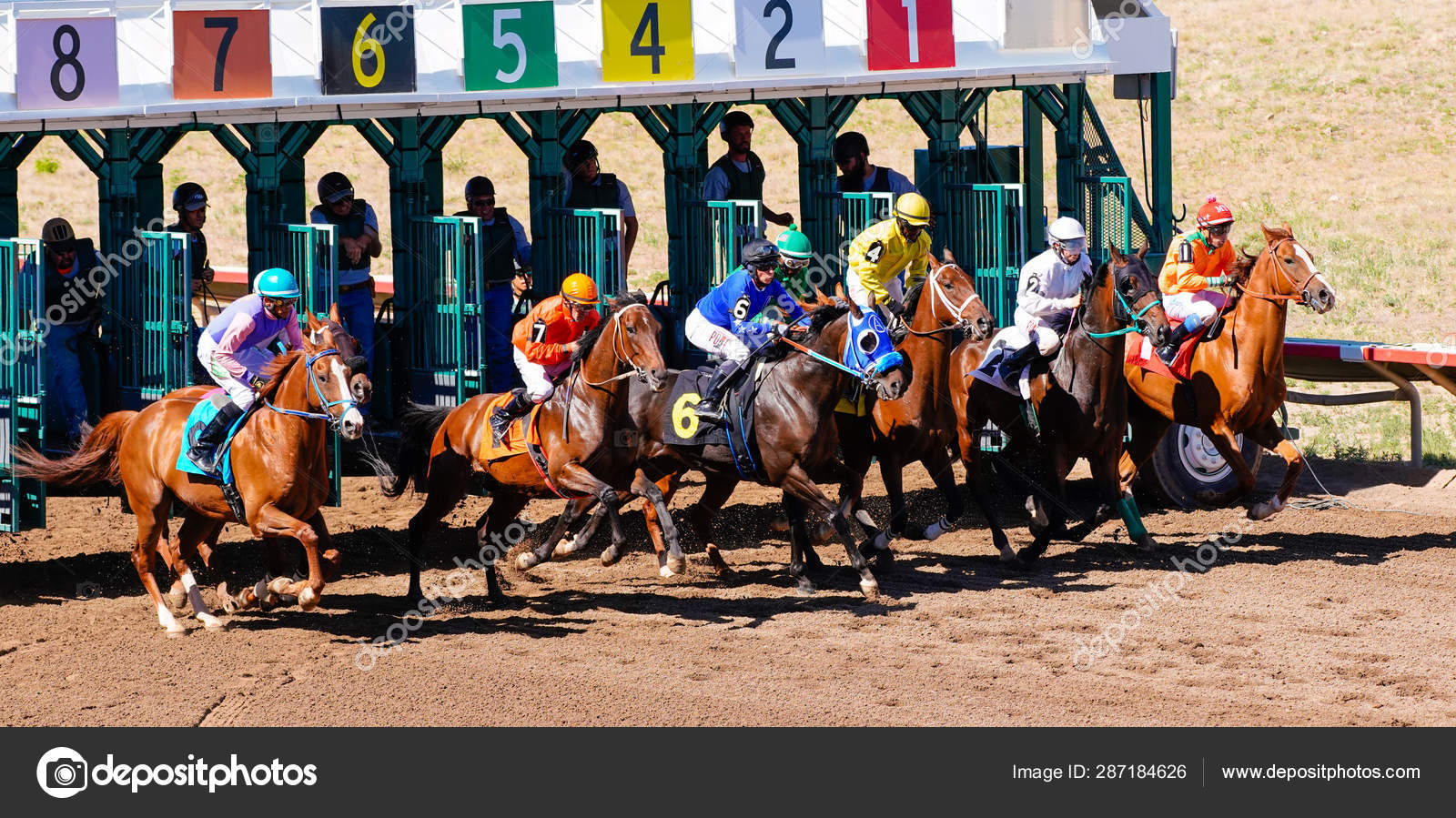 Race Horses Leaving Starting Gate Horse Race Picture Taken Arizona Stock Editorial Photo C Heatherms27