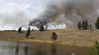 Yellowstone Ulusal Parkı'nda Yangın ve Duman.