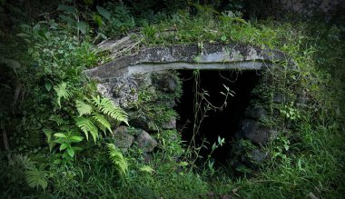 Man made cave covered in deep green moss. clipart