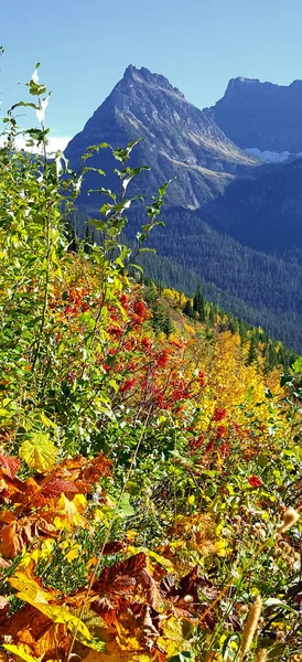 Herbstfarben Den Bergen Des Gletschernationalparks — Stockfoto