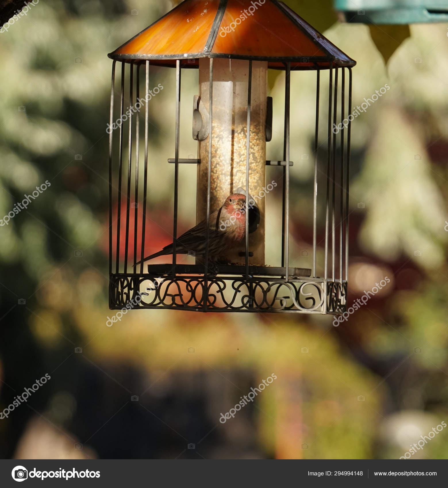Small Bird Eating Seeds Stained Glass Bird Feeder Stock Photo