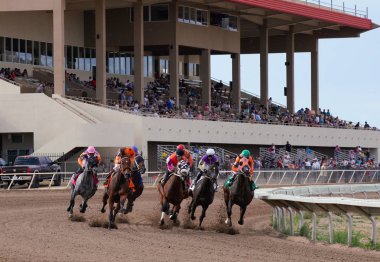 Horses and jockeys round the first bend on the racetrack at Arizona Downs on September 1, 2019. clipart