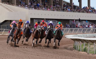 Horses and jockeys round the first bend on the racetrack at Arizona Downs in Prescott, Arizona on September 1, 2019. Version 2 clipart