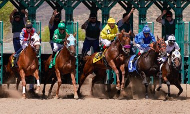 Race horses leaving the starting gate at Arizona Downs in Prescott Valley, Arizona on September 1, 2019. The number 4 horse is getting a jump on the field. clipart