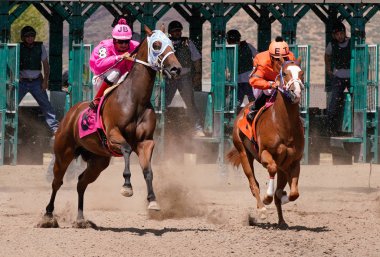 Two race horses finding their stride at the beginning of a race at Arizona Downs in Prescott Valley, Arizona on September 1, 2019 - Version 1 clipart