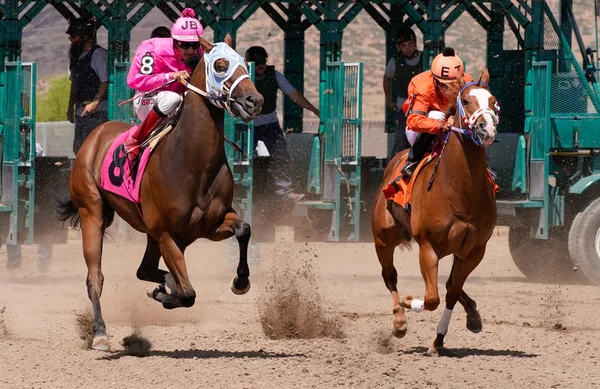 1 Eylül 2019'da Prescott Valley, Arizona'daki Arizona Downs'ta bir yarışın başında iki yarış atı kendi adımlarını buluyor - Versiyon 3