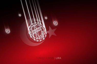 Dolar Sembolik, Türkiye Para Birimi