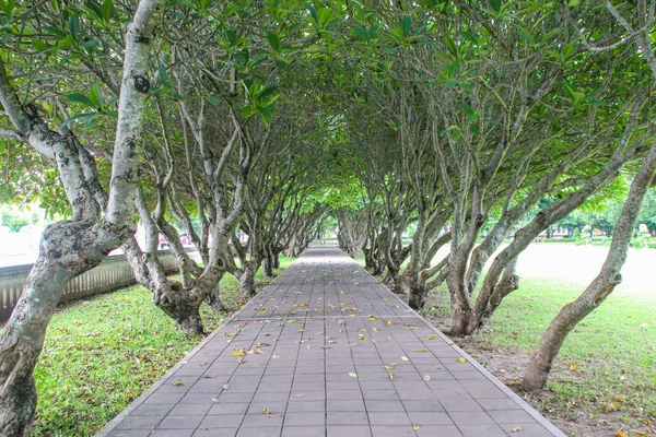 Leelawadee Tunnel , Nan Thailand — Stock Photo, Image