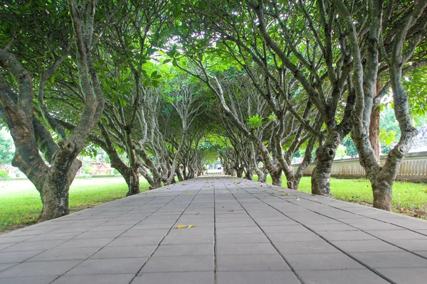 Túnel Leelawadee, Nan Tailandia —  Fotos de Stock