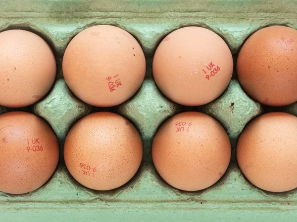 Looking down onto a green egg carton filled with eight hens\' eggs