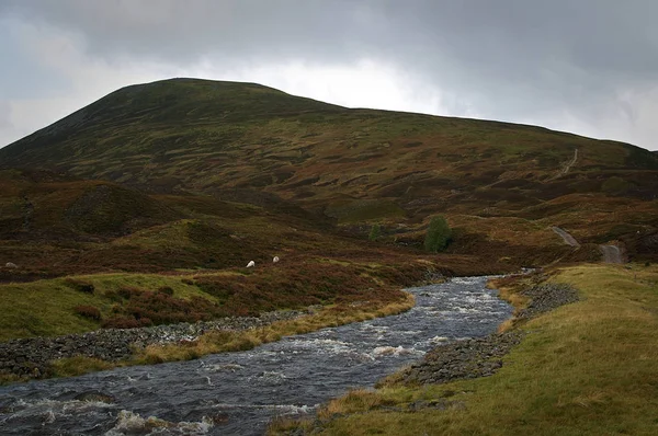 Valle Escocés Salvaje Las Montañas Cairngorm Escocia Imágenes De Stock Sin Royalties Gratis