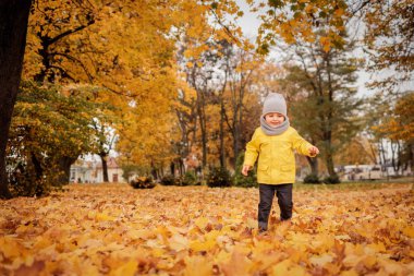 Sarı ceketli, gri şapkalı ve eşarplı küçük çocuk sonbahar parkında sarı yapraklarla oynuyor. Mutlu ve neşeli bir anaokulu çocuğunun portresi.