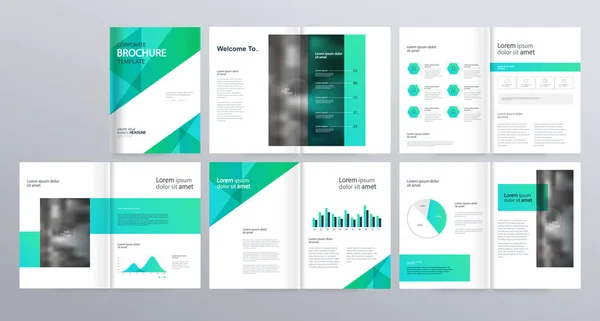 Modèle Mise Page Pour Profil Entreprise Rapport Annuel Brochures Dépliants — Image vectorielle