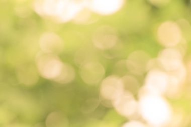 Sarı bulanık soyut arka plan. Defocused soyut arka plan.