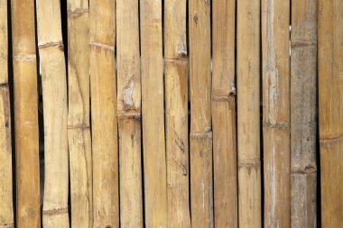 Dikey bambu arka plan. Kuru bambu arka plan.