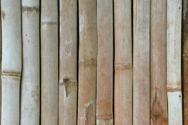 Vertical bamboo background. Dry bamboo background.