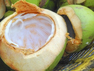 Sepette Hindistan cevizi kabuğu.