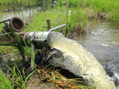 Çiftçiler ekin hazırlamak için bölgeye su pompa. Çiftçiler tarım için su pompası.