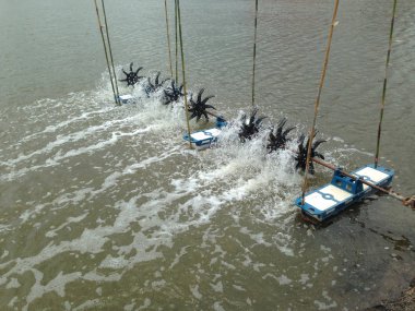 Türbin balık gölet ve karides gölet oksijen artırmak için yüzey döndürür. Türbin ve karides yetiştiriciliği teknikleri. Su oksijen jeneratörü.