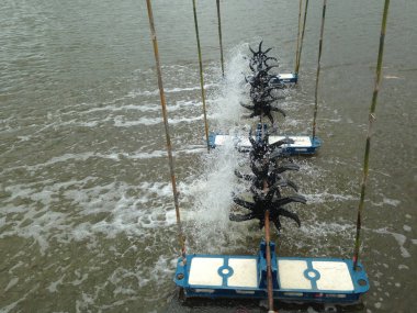 Türbin balık gölet ve karides gölet oksijen artırmak için yüzey döndürür. Türbin ve karides yetiştiriciliği teknikleri. Su oksijen jeneratörü.