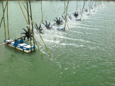 Türbin balık gölet ve karides gölet oksijen artırmak için yüzey döndürür. Türbin ve karides yetiştiriciliği teknikleri. Su oksijen jeneratörü.