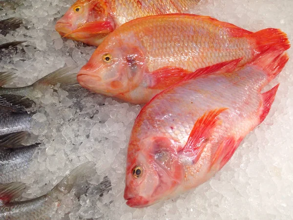 Ikan Tilapia Merah Ditempatkan Atas Pasar Menunggu Konsumen Untuk Membeli — Stok Foto