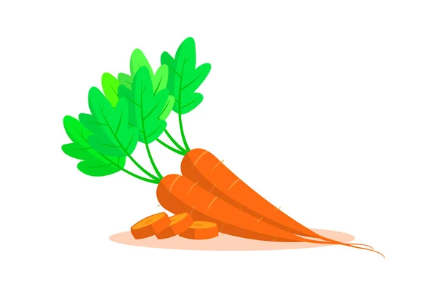 Carrots Isolated White Background — Stock Vector