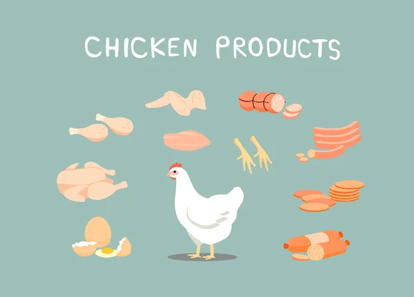 Chicken Products Popular Food Chicken Products Can Processed Variety Types — Stock Vector