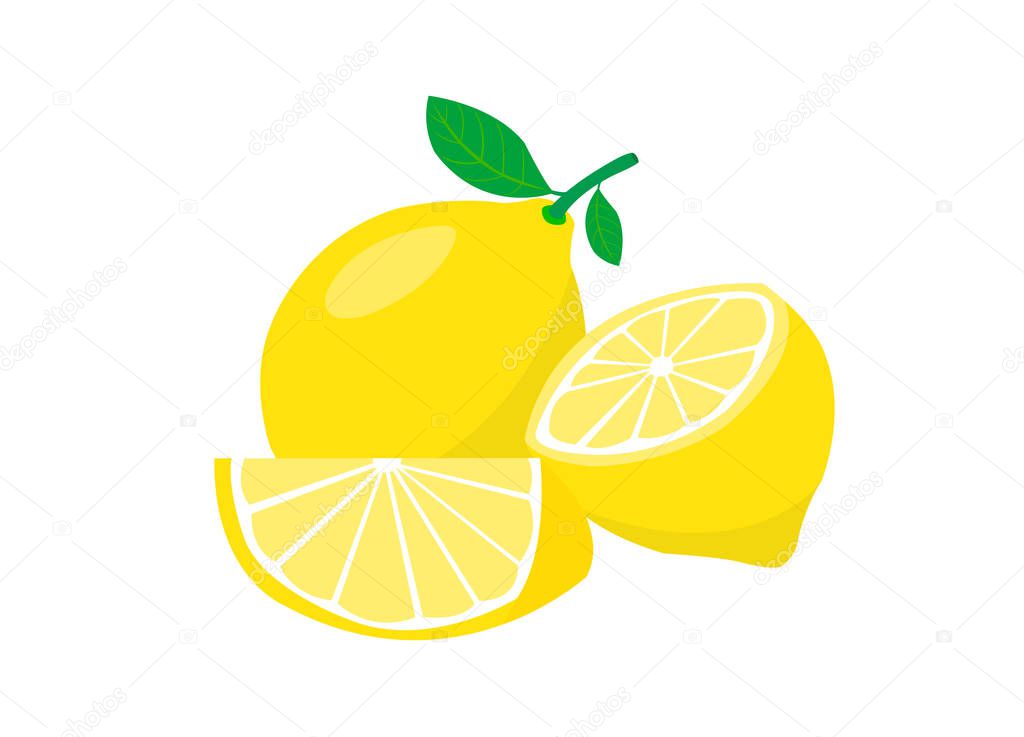 Lemon isolated on white background. Lemon vector cut half on white background.