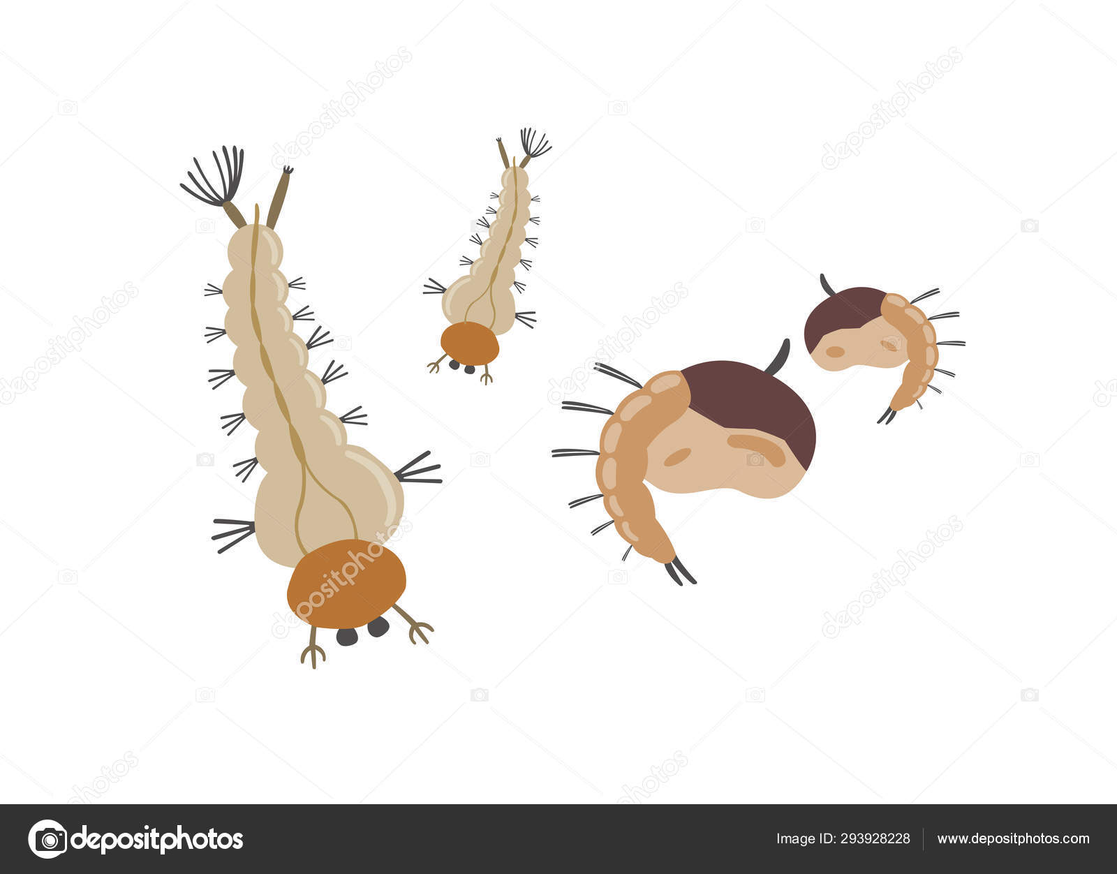 Larva Mosquitos Aislada Sobre Fondo Blanco Vector de stock #293928228 de  ©eungsuwatnarin62@gmail.com, image size:1600x1252
