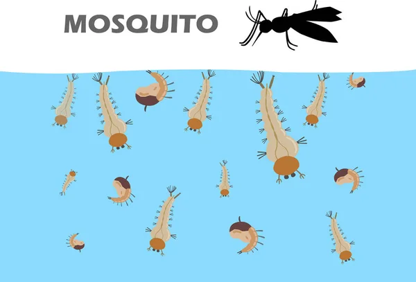 102 Mosquito Larvacide Vector Images Mosquito Larvacide Illustrations Depositphotos