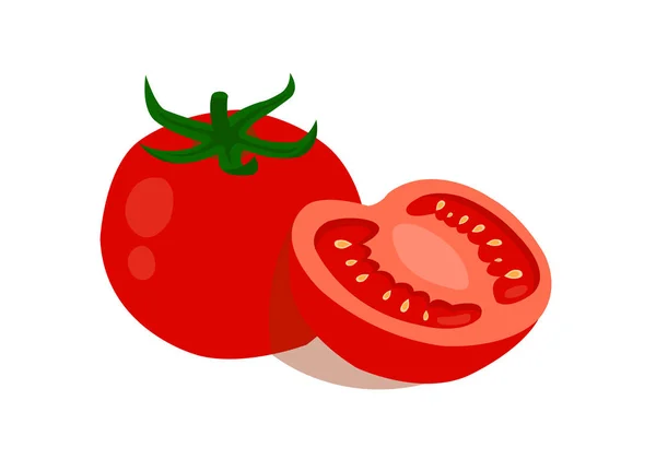 在白色背景上孤立的番茄 番茄在白色背景上切成两半 — 图库矢量图片