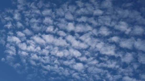 배경을 아름다운 구름의 움직임을 — 비디오