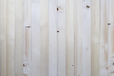 Hafif çam ağacı arka planı. Dikey olarak çam ağacı arkaplanı.