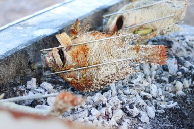 Tuzlu ızgarayla kaplanmış balık. Şöminede otomatik döner makineyle ızgara balık..