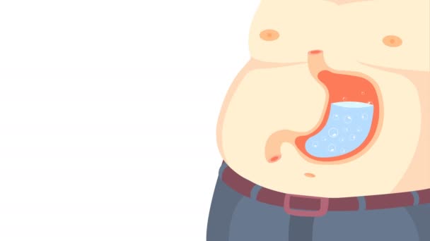 Stomach Acid Animation White Background Gastritis Caused Several Causes Gastritis — Stock Video