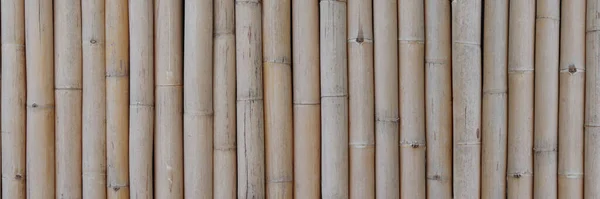 Dry Brown Bamboo Banner Pattern Background Dry Bamboo Background — Stock Photo, Image