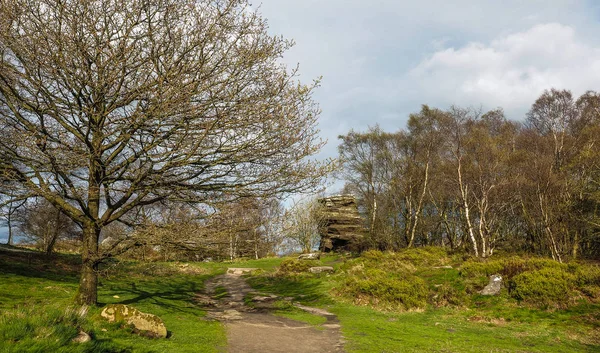 Brimham Rocks Ist Eine Erstaunliche Ansammlung Von Natürlichen Felsformationen North — Stockfoto