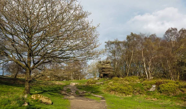 Brimham Rocks Uma Incrível Coleção Millstone Grit Formações Rochosas Naturais — Fotografia de Stock