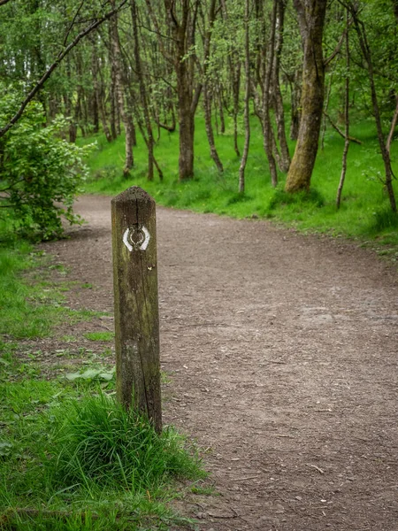 The West Highland Way stretches 96 miles (154 Km) from Milngavie to Fort William, taking in a wide variety of scenery. The route is popular and well sign posted with route markers
