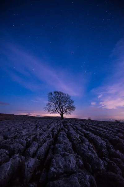 Lone Tree Amonst Limestone Pavement Hills Village Malham Yorkshire Dales — Stock Photo, Image
