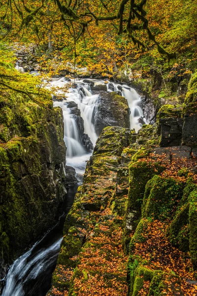 Autumn Colours River Braan Hermitage Dunkeld Perthshire Highlands Scotland — Stock Photo, Image