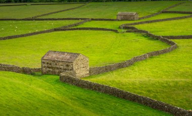 Yorkshire Dales National Park onun üst kesimlerinde Swaledale özellikle büyük onun eski kireç taşı alan kulübeler, taş duvarlar ve kır çiçekleri, bolluk nedeniyle çarpıcı