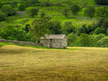 Swaledale in the Yorkshire Dales National Park Its upper parts are particularly striking because of its large old limestone field barns , stone walls and its profusion of wild flowers clipart
