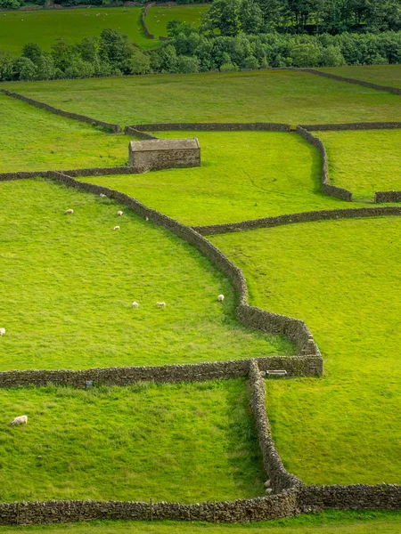 Swaledale Yorkshire Dales National Park Its Upper Parts Particularly Striking — Stock Photo, Image