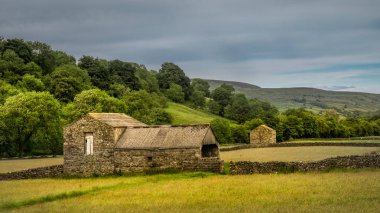Yorkshire Dales National Park onun üst kesimlerinde Swaledale özellikle büyük onun eski kireç taşı alan kulübeler, taş duvarlar ve kır çiçekleri, bolluk nedeniyle çarpıcı