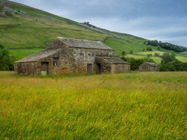 Yorkshire Dales National Park onun üst kesimlerinde Swaledale özellikle büyük onun eski kireç taşı alan kulübeler, taş duvarlar ve kır çiçekleri, bolluk nedeniyle çarpıcı
