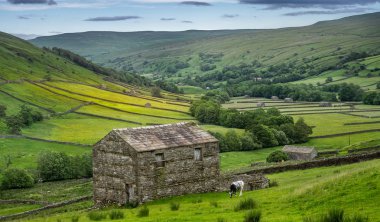 Yorkshire Dales National Park onun üst kesimlerinde Swaledale özellikle büyük onun eski kireç taşı alan kulübeler, taş duvarlar ve kır çiçekleri, bolluk nedeniyle çarpıcı