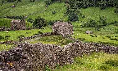 Yorkshire Dales National Park onun üst kesimlerinde Swaledale özellikle büyük onun eski kireç taşı alan kulübeler, taş duvarlar ve kır çiçekleri, bolluk nedeniyle çarpıcı